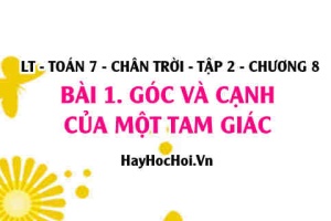 Tổng 3 góc của tam giác, quan hệ giữa ba cạnh của tam giác? Toán 7 chân trời tập 2 chương 8 bài 1